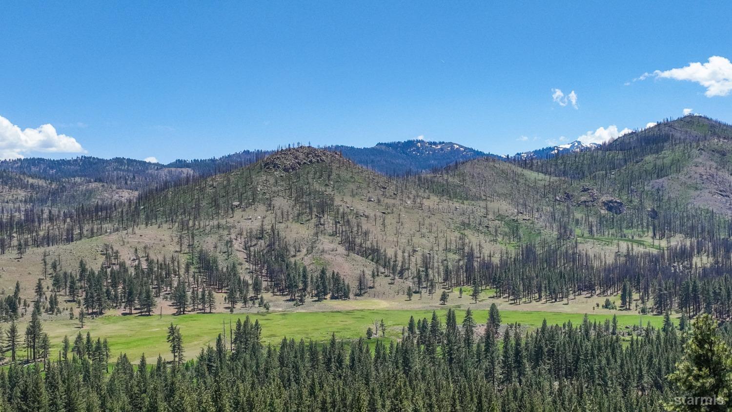 0 Silver Peak Road Markleeville, CA 96120 - Photo 2 of 7 Gallery Image 2