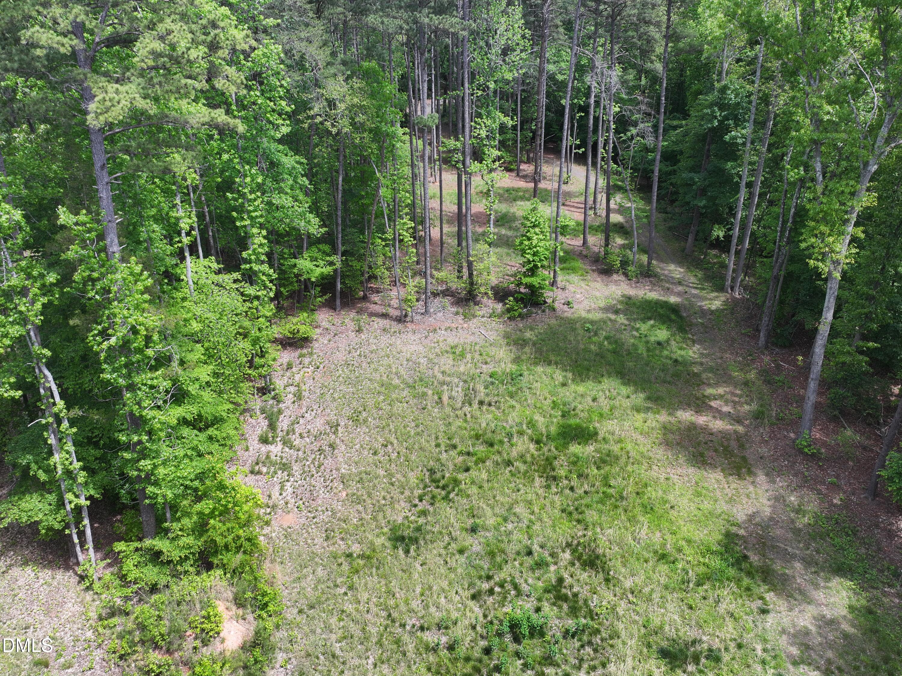 75 Max Finn Lane Roxboro, NC 27574 - Photo 7 of 17 a view of forest