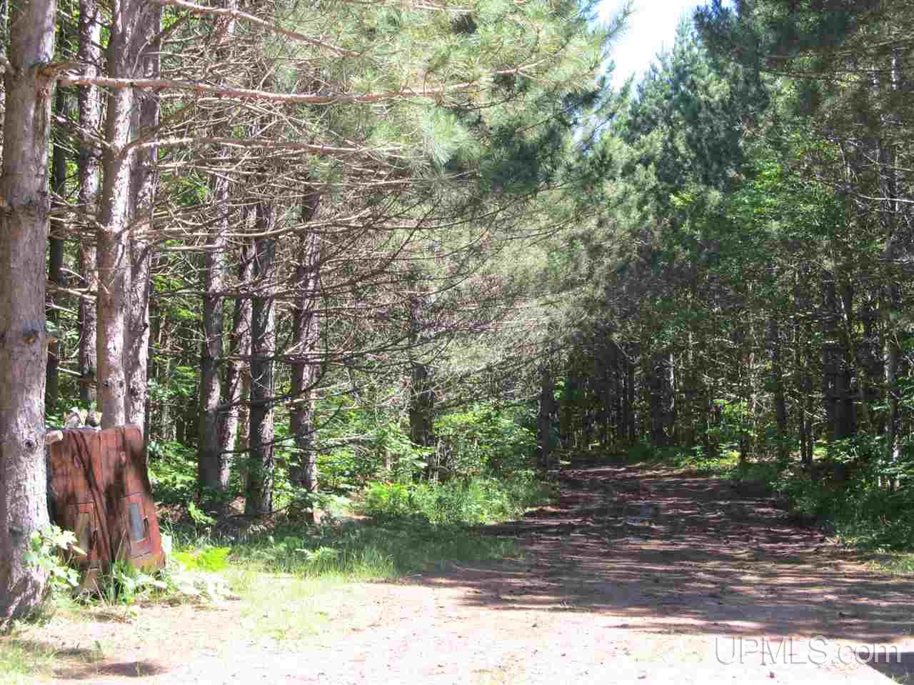 Tbd Lake Head Road Hurley, WI 54534 - Photo 19 of 25