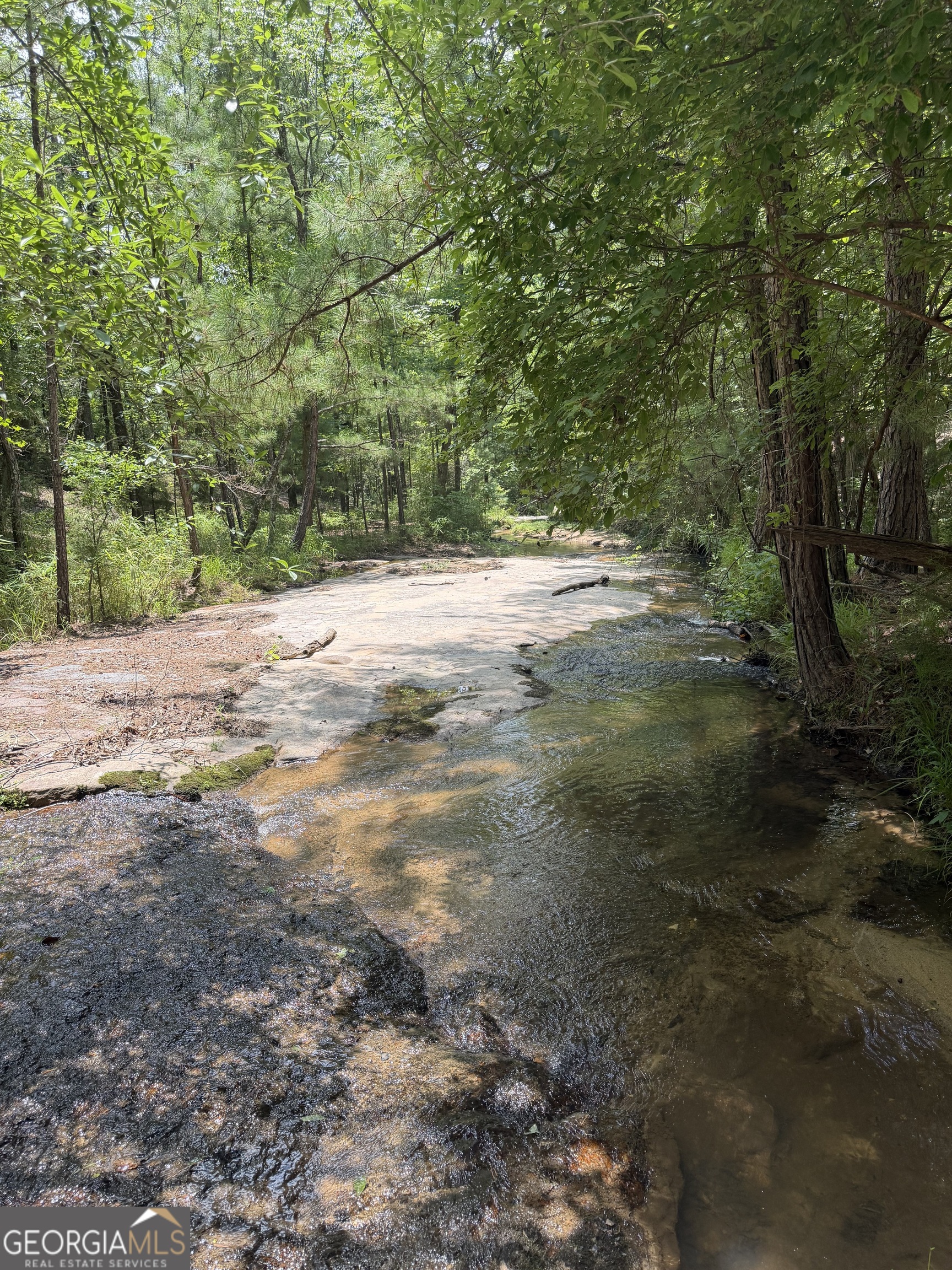 0 Pleasant Valley Road Thomaston, GA 30286 - Photo 7 of 20