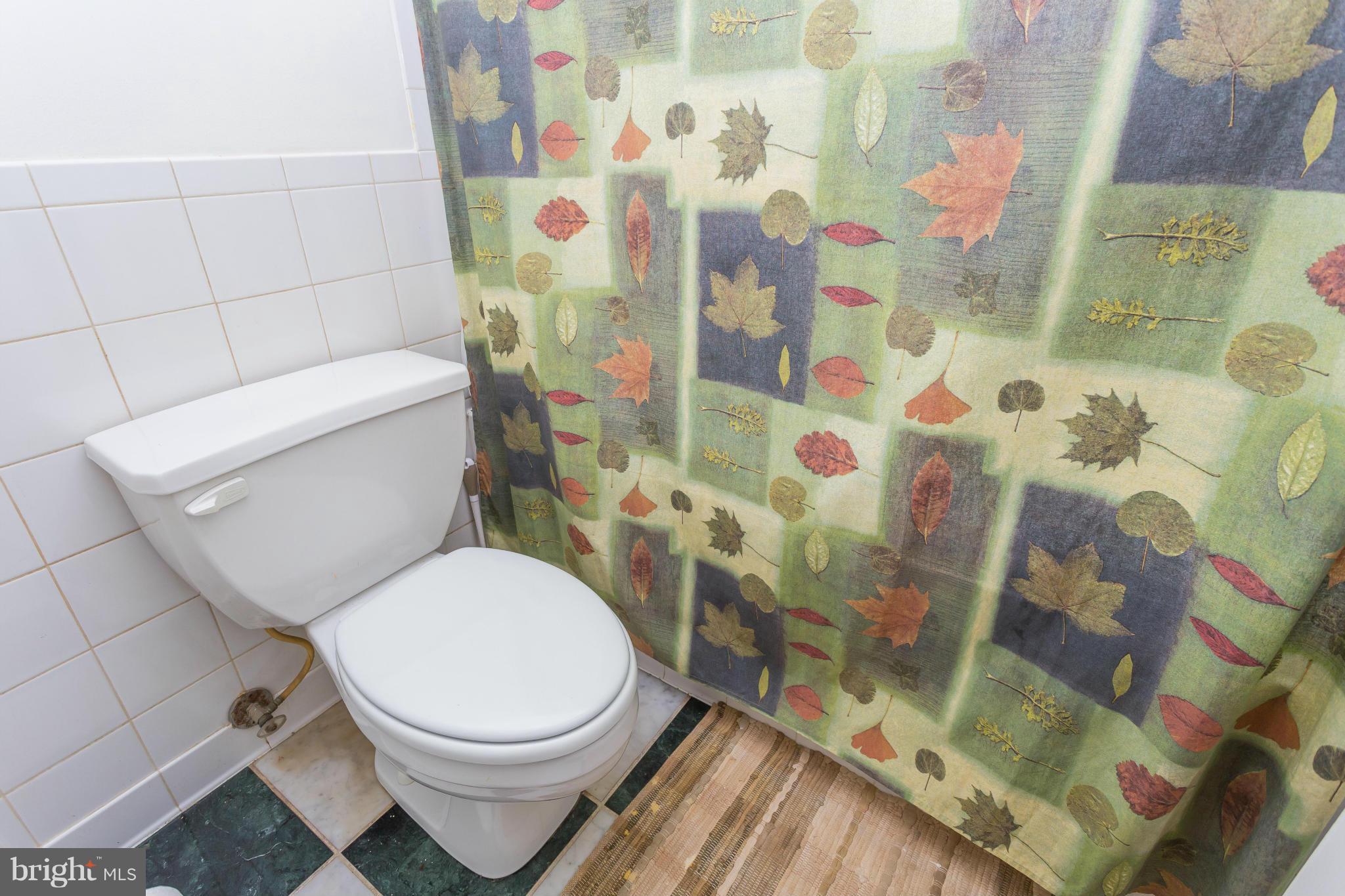 3038 Manor Road Falls Church, VA 22042 - Photo 22 of 27 Bath (Master)