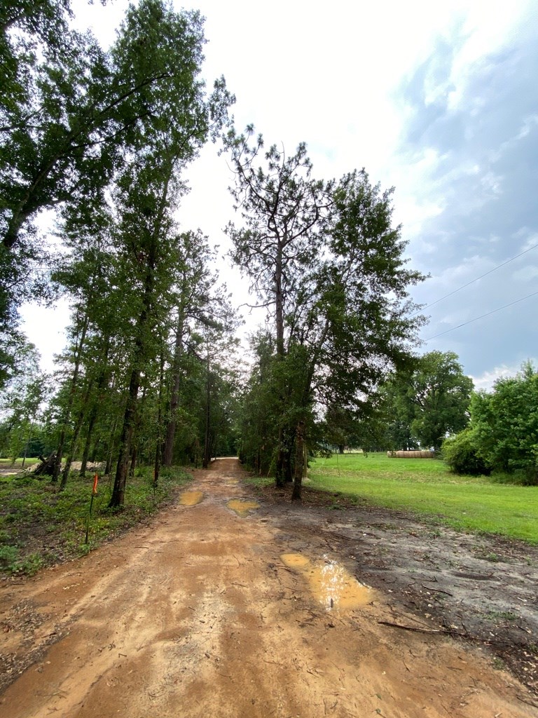 2242 Coot Adams Road Ashford, AL 36312 - Photo 32 of 39