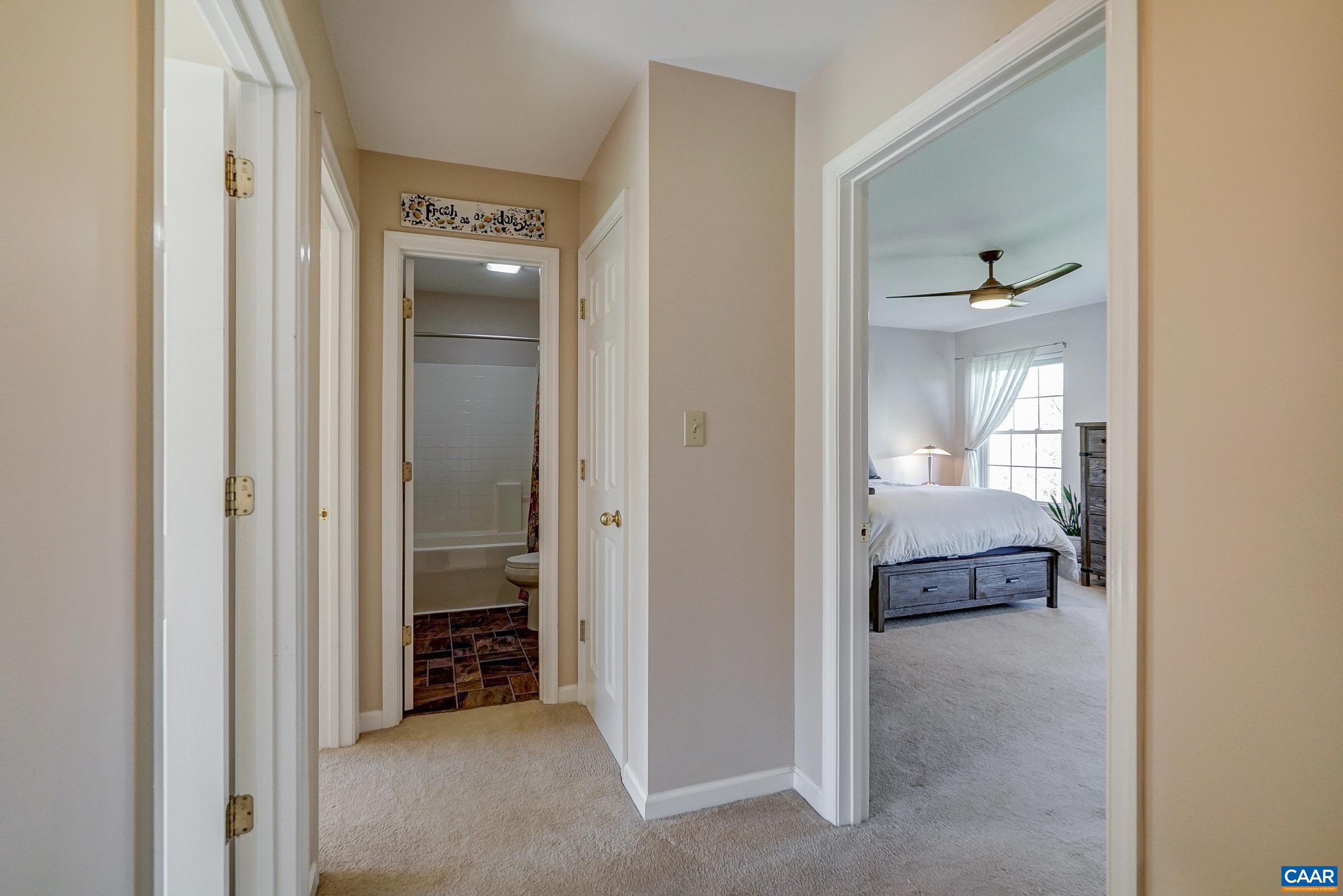 677 Albevanna Spring Road Scottsville, VA 24590 - Photo 29 of 53 Gallery Image 29