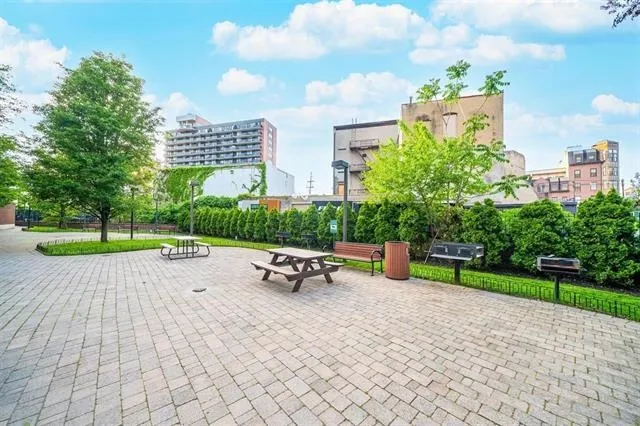 a view of a park with large trees