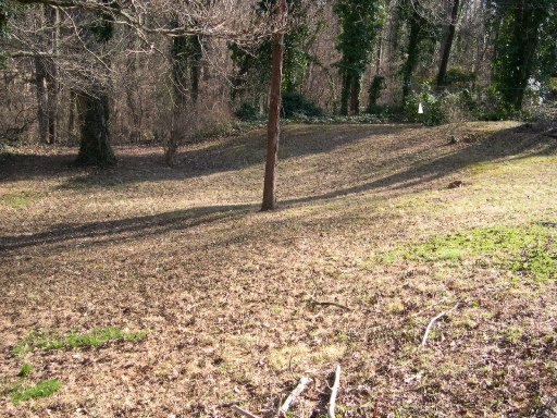 137 Outer Drive Oak Ridge, TN 37830 - Photo 3 of 20 Additional Photo
