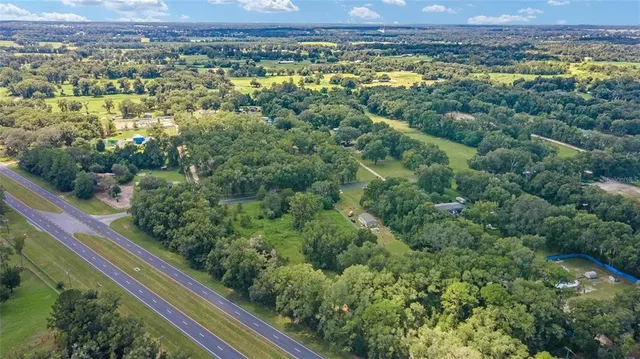 a view of a city with lush green forest