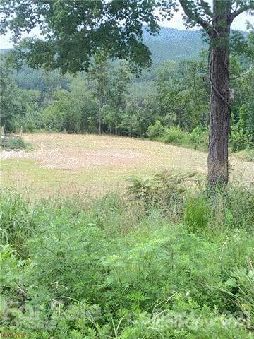 0 Gaddy Road Nebo, NC 28761 - Photo 1 of 11 Gallery Image 1