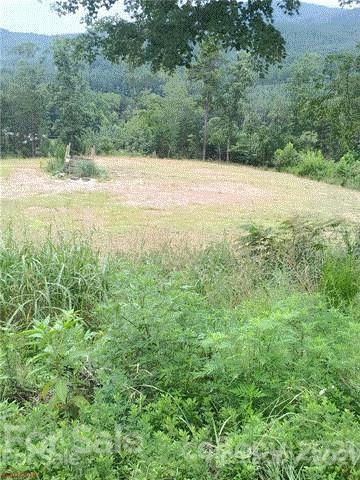 0 Gaddy Road Nebo, NC 28761 - Photo 2 of 11 Gallery Image 2