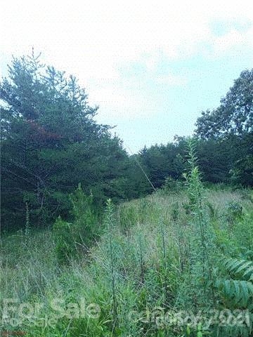 0 Gaddy Road Nebo, NC 28761 - Photo 3 of 11 Gallery Image 3