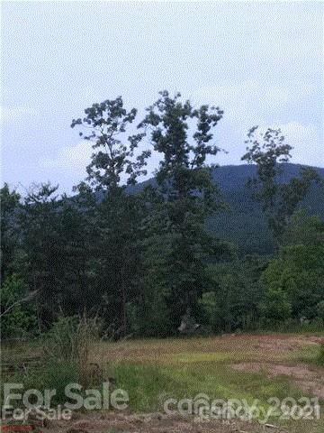 0 Gaddy Road Nebo, NC 28761 - Photo 7 of 11 Gallery Image 7