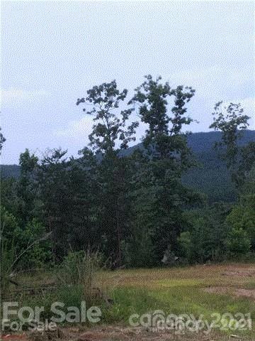 0 Gaddy Road Nebo, NC 28761 - Photo 8 of 11 Gallery Image 8