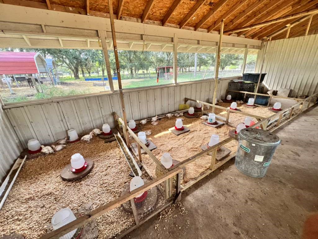 12625 Padon Road Needville, TX 77461 - Photo 47 of 50 Fully equipped chicken coop with electricity, commercial exhaust system, multiple fans, and water access on both sides for easy maintenance. Removable pens offer flexibility for raising birds or managing space efficiently.