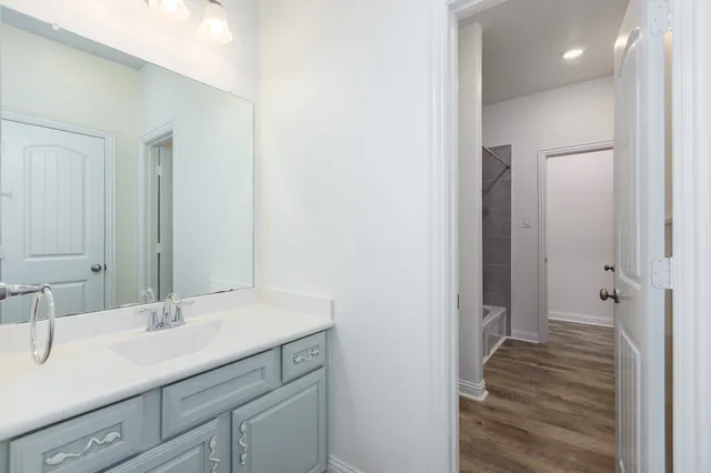 a bathroom with a sink and a mirror