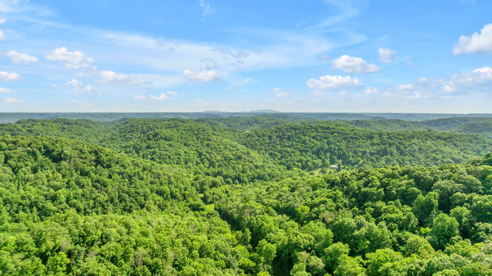 16600 Center Hill Dam Road Silver Point, TN 38582 - Photo 3 of 33