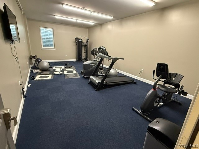 610 Ayer Road, Unit 6 Amherst, NY 14221 - Photo 20 of 23 Fitness Center