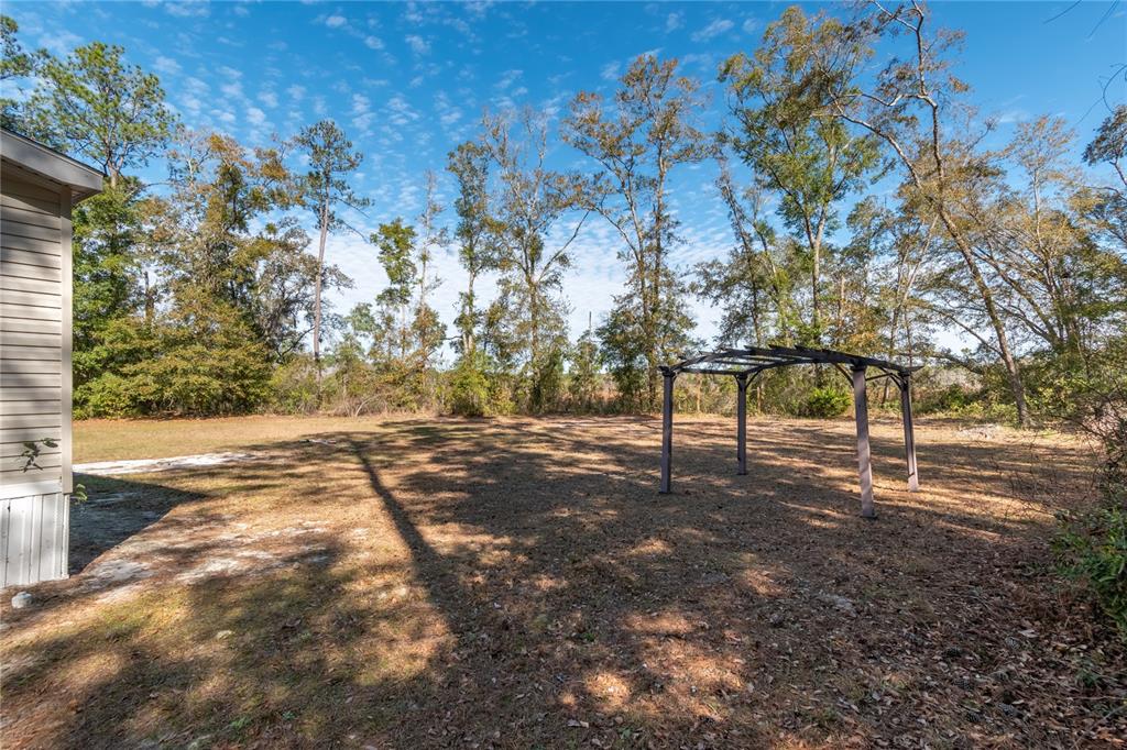 20606 Northeast 51 Lane Earleton, FL 32631 - Photo 6 of 33