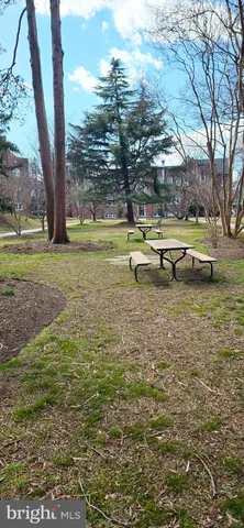 a view of a swimming pool with a yard