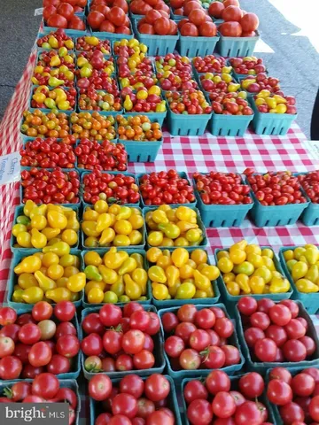 a bunch of flowers and fruits