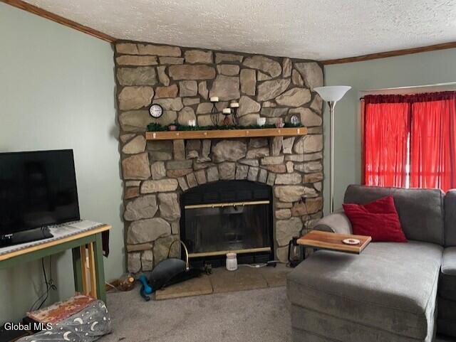 122 New Turnpike Road Fort Plain, NY 13339 - Photo 3 of 34 Wood Fire Place