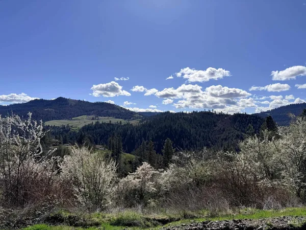$300,000 | 620 Old Peck Grade, Lenore, ID 83541
