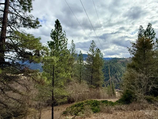 $300,000 | 620 Old Peck Grade, Lenore, ID 83541