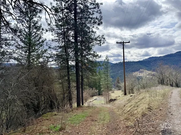 $300,000 | 620 Old Peck Grade, Lenore, ID 83541