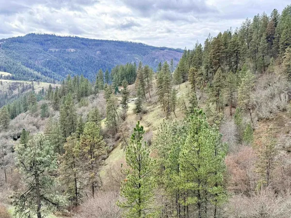 $300,000 | 620 Old Peck Grade, Lenore, ID 83541