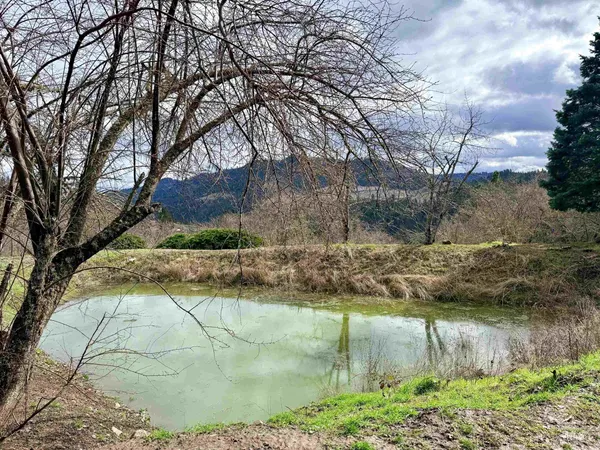 $300,000 | 620 Old Peck Grade, Lenore, ID 83541