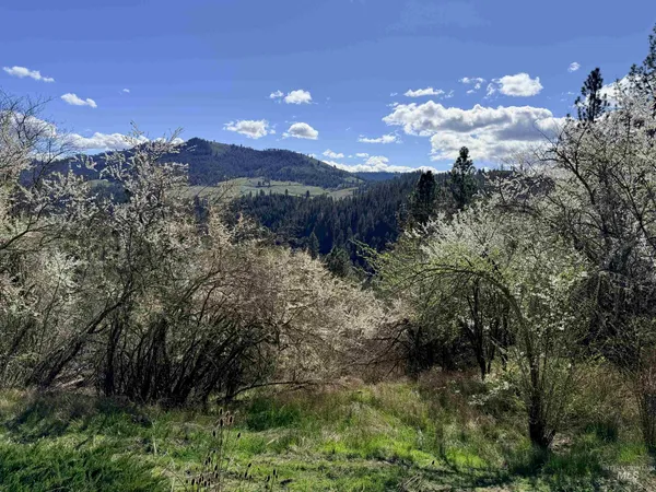 $300,000 | 620 Old Peck Grade, Lenore, ID 83541