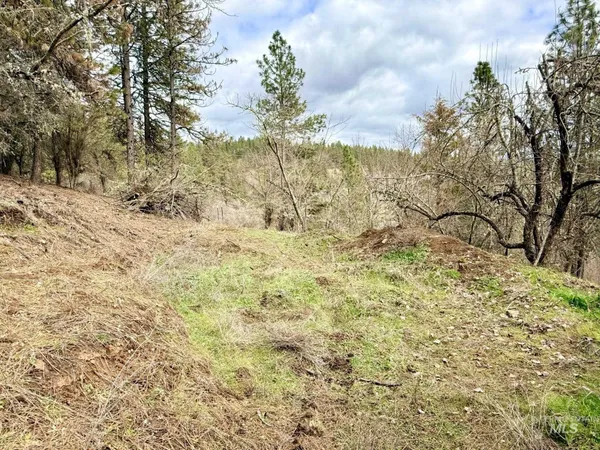$300,000 | 620 Old Peck Grade, Lenore, ID 83541