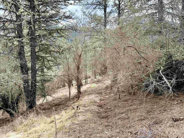 $300,000 | 620 Old Peck Grade, Lenore, ID 83541