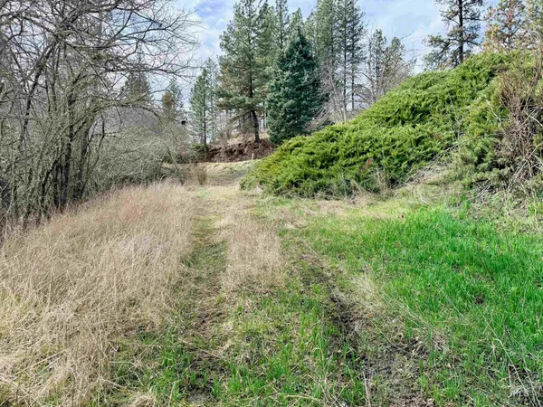 $300,000 | 620 Old Peck Grade, Lenore, ID 83541