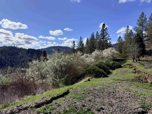 $300,000 | 620 Old Peck Grade, Lenore, ID 83541