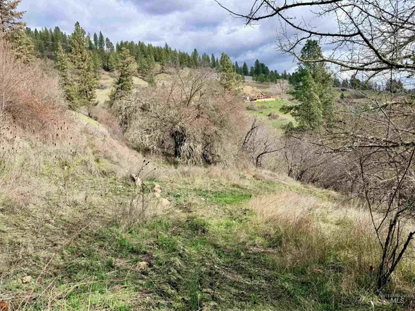 $300,000 | 620 Old Peck Grade, Lenore, ID 83541