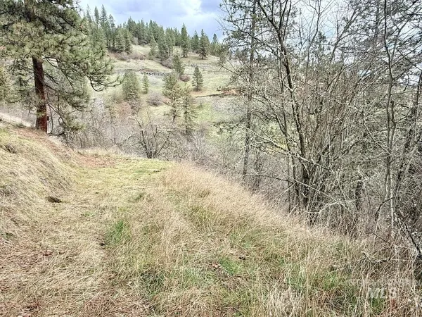 $300,000 | 620 Old Peck Grade, Lenore, ID 83541