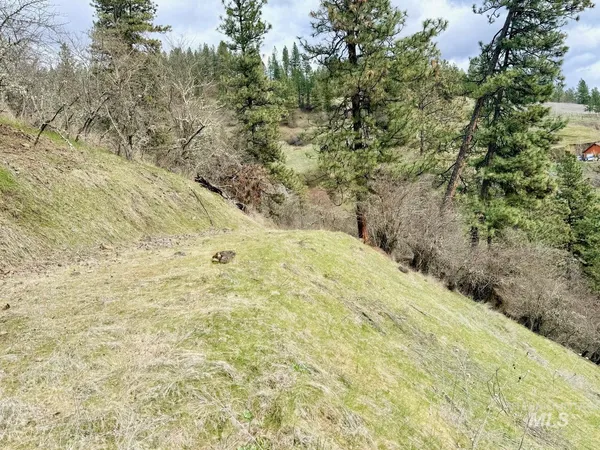 $300,000 | 620 Old Peck Grade, Lenore, ID 83541