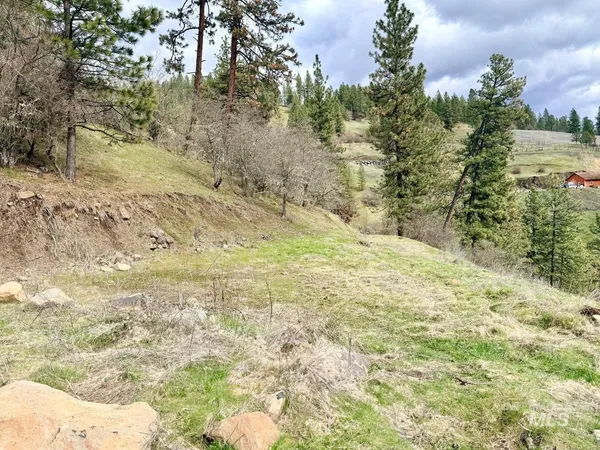 $300,000 | 620 Old Peck Grade, Lenore, ID 83541