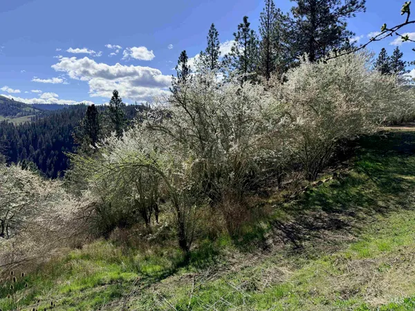$300,000 | 620 Old Peck Grade, Lenore, ID 83541