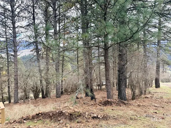$300,000 | 620 Old Peck Grade, Lenore, ID 83541