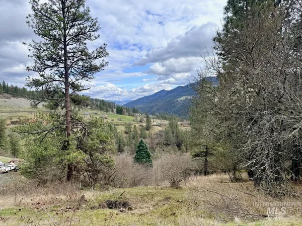 $300,000 | 620 Old Peck Grade, Lenore, ID 83541