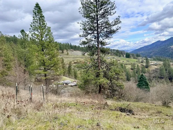 $300,000 | 620 Old Peck Grade, Lenore, ID 83541