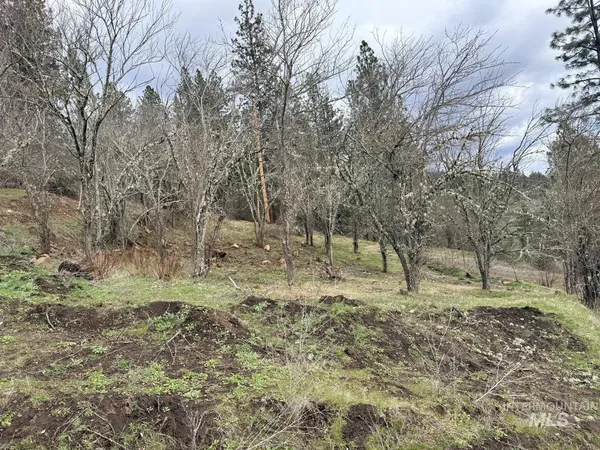 $300,000 | 620 Old Peck Grade, Lenore, ID 83541