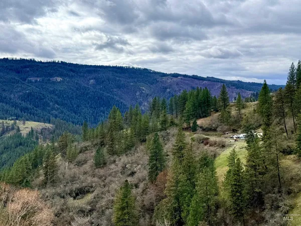 $300,000 | 620 Old Peck Grade, Lenore, ID 83541