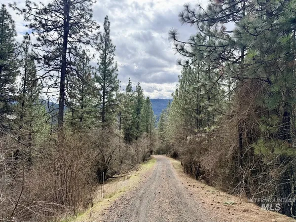 $300,000 | 620 Old Peck Grade, Lenore, ID 83541