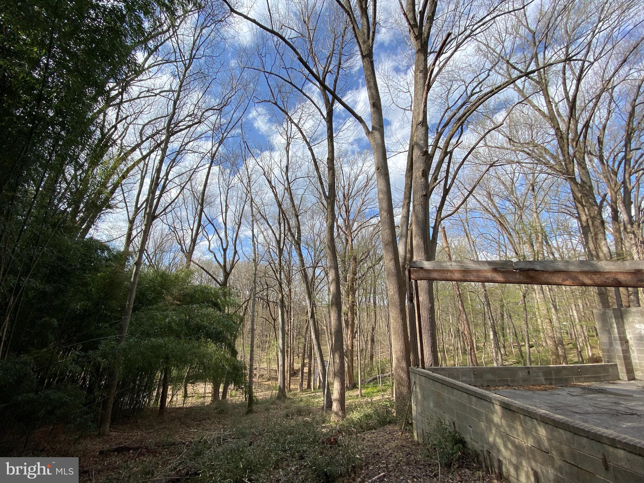 11800 Glen Mill Road Potomac, MD 20854 - Photo 32 of 36