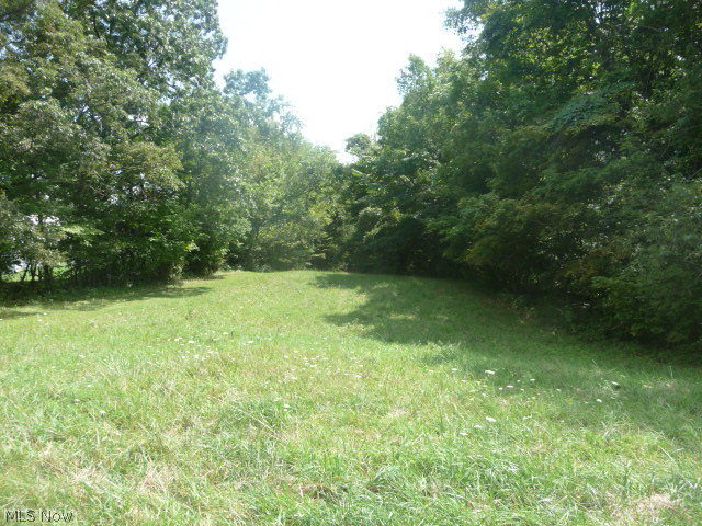 Dunlap Road Cambridge, OH 43725 - Photo 6 of 6