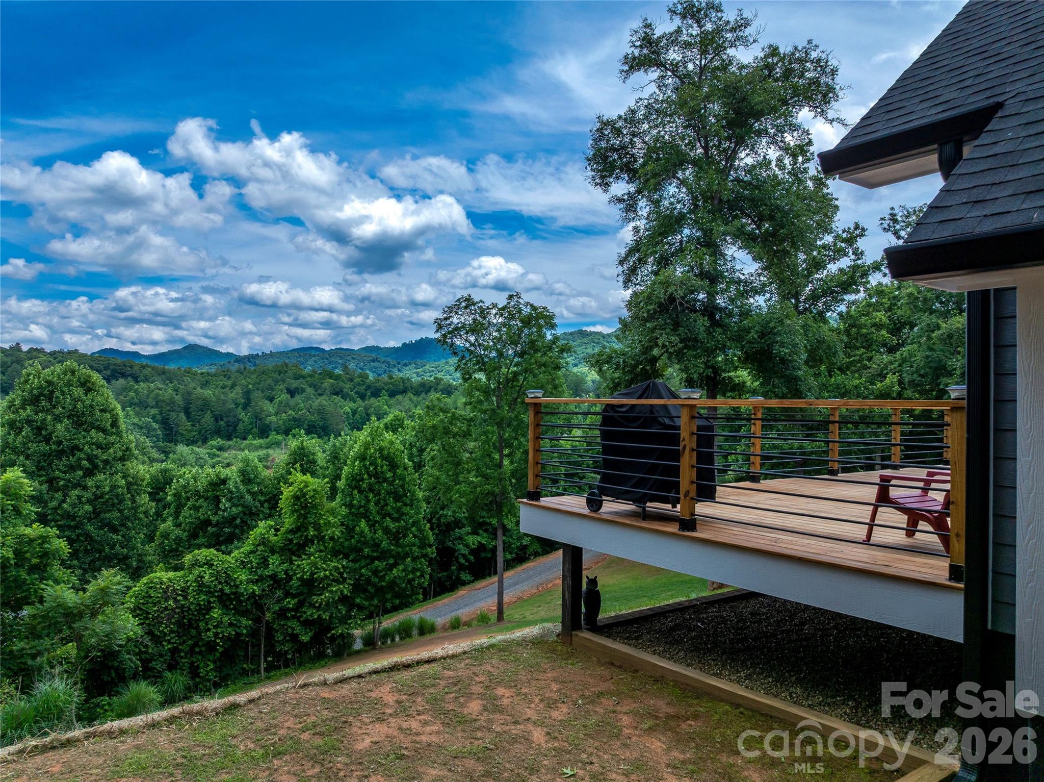 143 Fox Grape Hollow Road Mars Hill, NC 28754 - Photo 2 of 37