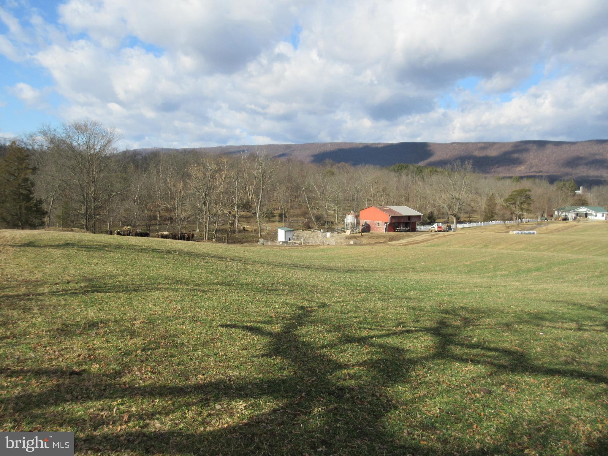 484 Shed Road Newville, PA 17241 - Photo 9 of 26