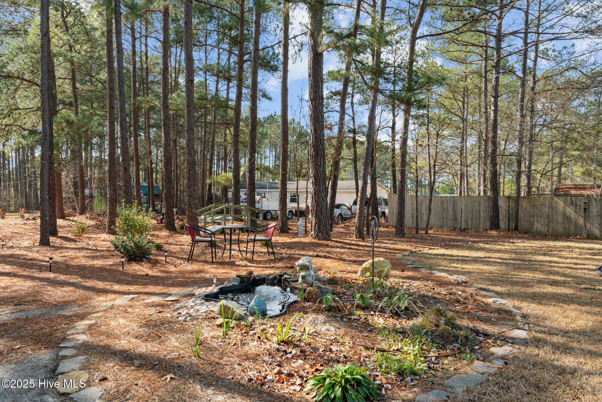 185 Roping Lane Cameron, NC 28326 - Photo 45 of 53 47-web-or-mls-DSC06722