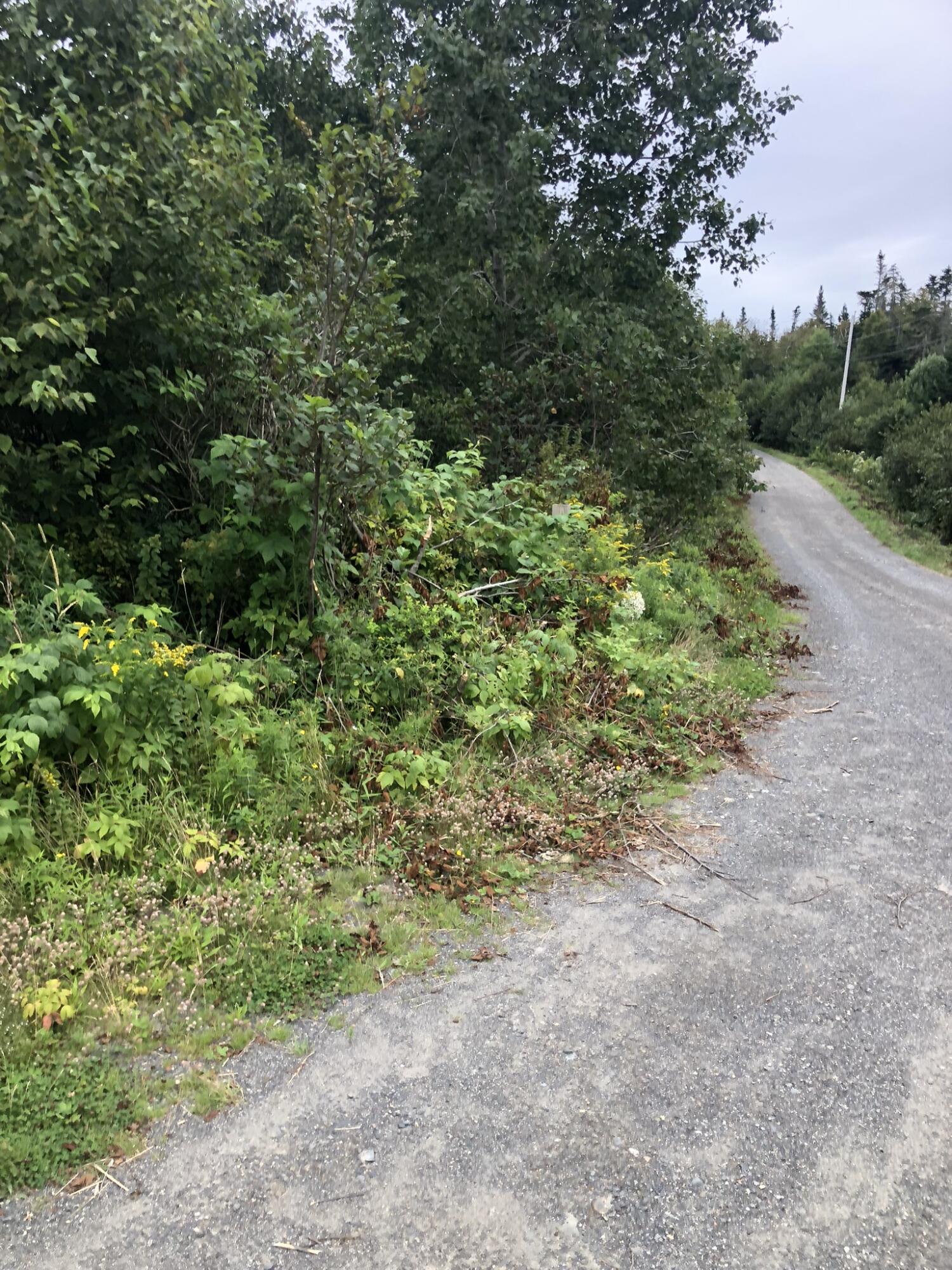 Lot25-a-1 Boot Cove Road Lubec, ME 04652 - Photo 32 of 34 D71ED8F2-489F-4B91-878C-D8F2D0956211